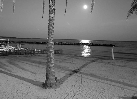 Camping La Provençale, 4* - 39