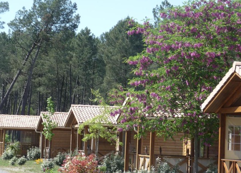 Camping Landes Océanes, 4* - 39