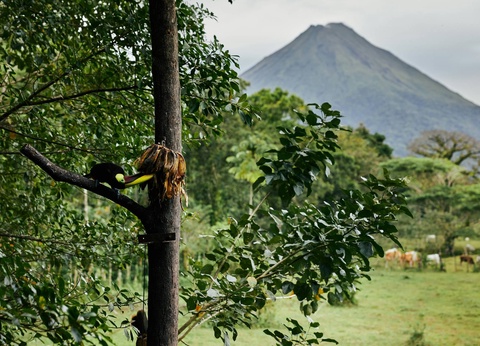 Circuit Costa Rica, terre d'émeraude et de saphir - 7