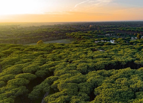 Camping Roma Capitol, 4* - 134