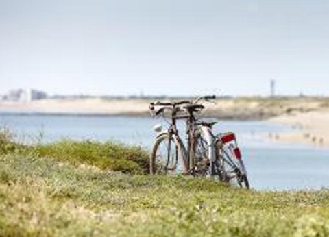 Camping Les Alouettes, 4* - 29