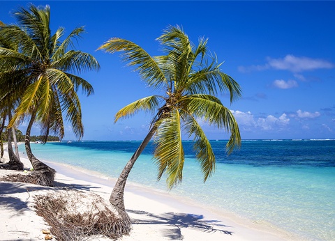 RÉP. DOMINICAINE | Punta Cana – Zel Punta Cana 5* - 11