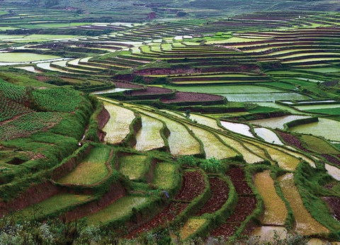 Circuit Merveilles de Madagascar - 10