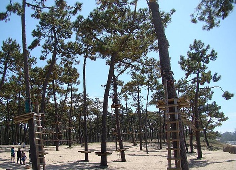 Camping maeva Escapades Les Etangs Mina, 3* - 76