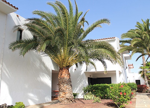 Hôtel BLUESEA Puerto Caleta 2* - 10