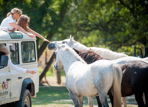 Camping Abri de Camargue, 4* - 40
