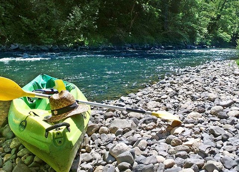 VVF Les Gorges de l'Allier 3* - 4