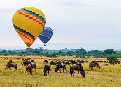 Circuit Safari au coeur des grands parcs du Kenya - 6