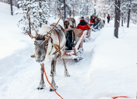 Club Framissima Cape East (activités incluses) - 4