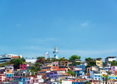 Circuit L'Équateur entre nature et authenticité + extension Galapagos (maximum 16 participants) - 12