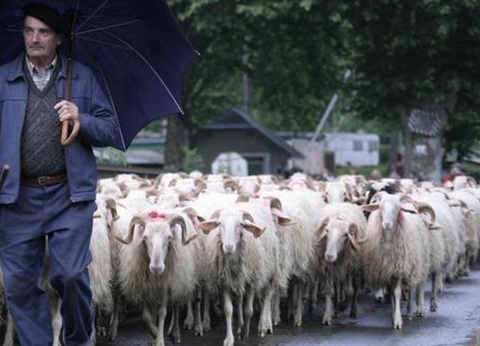 Camping Beau Rivage, 3* - 31