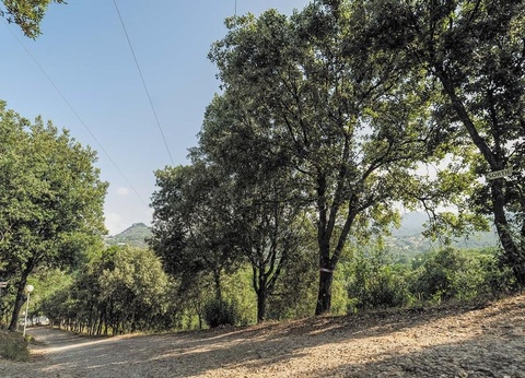 Camping La Liscia, 3* - 7