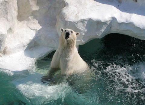 Circuit Norvège en hiver : L'expérience Arctique - 5