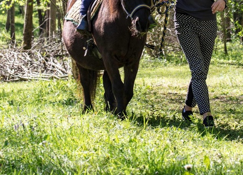 Camping l'Arize, 4* - 28