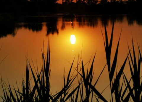 Camping Le Lomagnol, 3* - 16