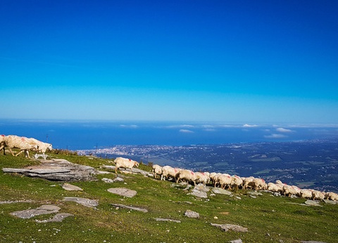 Camping Le Ruisseau Pays Basque 5* - 22