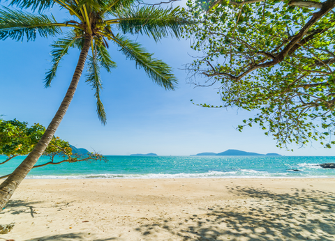 Circuit Du Parc National de Khao Sok aux Sables de Khao Lak - 25