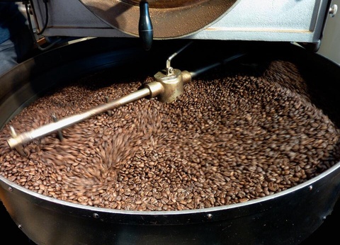 Circuit entre Jungles et Forêts du Costa Rica + extension Playa Samara - 34