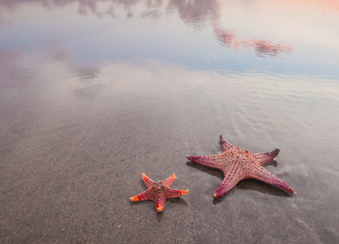 Combiné Rizières et Plage sur l'île des Dieux - 7