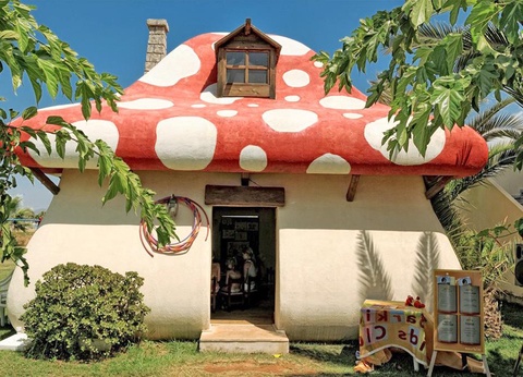 Hôtel Meropi Hôtel & Apartments 4* - 12