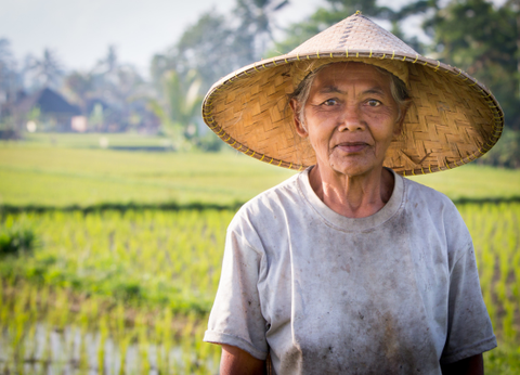 Circuit Balade Authentique du Volcan Ijen aux Rizières de Bali - 6