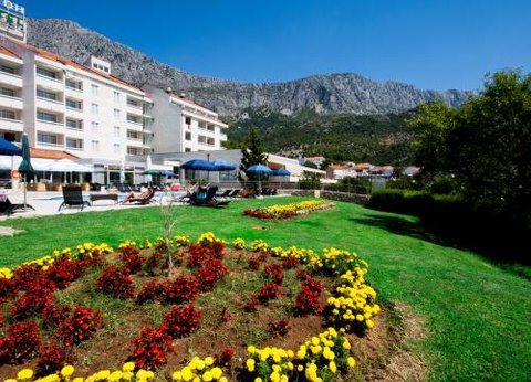 Club Jumbo Quercus 3* sup - 7