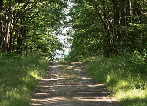 Camping Les Ecossais, 2* - 11