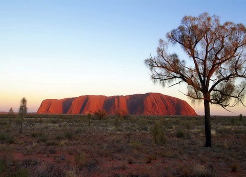 CIRCUIT MOSAIQUE AUSTRALIENNE ET OUVERTURE SUR LE SUD - 6