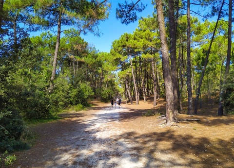 Camping Royal Océan 4* - 4