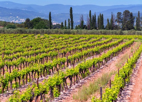 Camping Tikayan La Bergerie Plage, 3* - 44