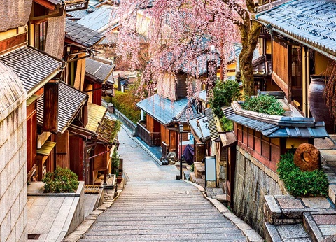 Circuit évènement : Hanami, le réveil des cerisiers - 3