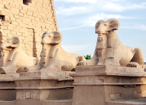 Croisière l'Egypte Millénaire - 23