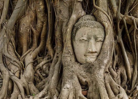 Thai Heritage + séjour Koh Samet 4* - Thailande - 6