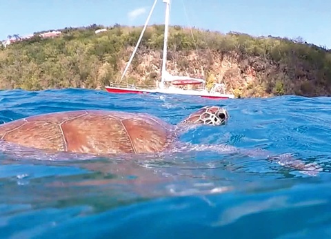 Circuit Guadeloupe : 5 Iles - 5 Ambiances - 3