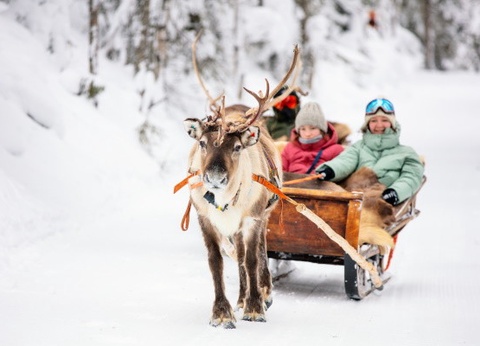 Circuit Rêveries en Laponie et nuit en igloo de verre - 5