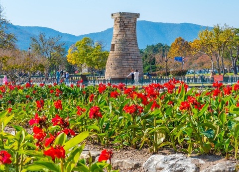 Circuit individuel : L'intégral de Corée - 8