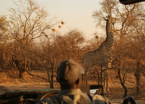 Circuit L'âme sauvage : voyage entre Kenya et Tanzanie - 16