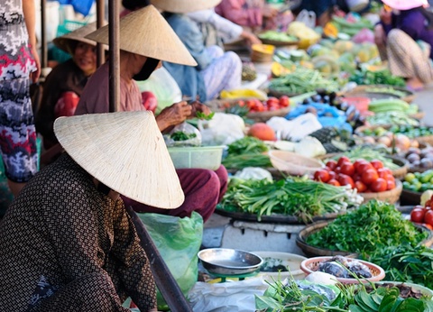 Splendeurs du Vietnam 12J/9N - 2025 - 5