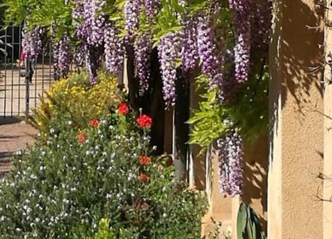 Camping Les Lauriers Roses, 4* - 41