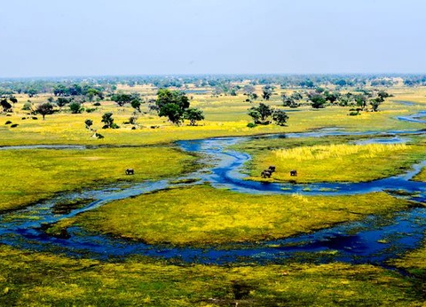 Immersion au Botswana & Extension Chutes Victoria 13J/10N - 2025 - 13