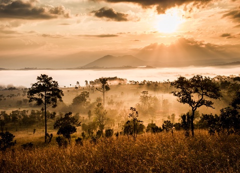 L'Afrique du Sud Intimiste, Chutes Victoria & Parc Chobe - 17J/14N Limité à 16 pers. (sauf sur la partie Victoria et Chobe) - Dès le 07/04/25 - Vols Long Courrier Air France - 10