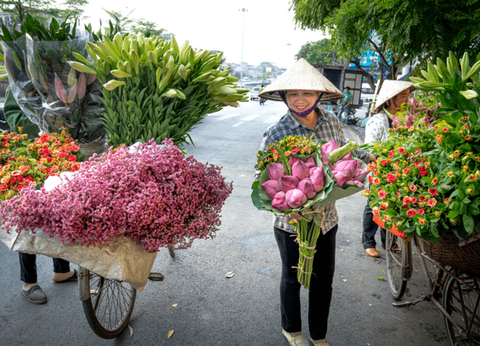 Circuit Les Mystères du Nord Vietnam Authentique et Eco-responsable - 4