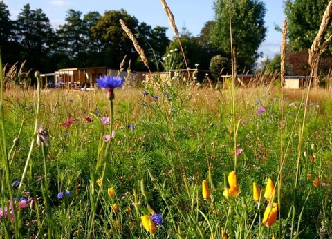 Camping Le Florenville, 3* - 55