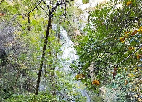 Camping Le Picouty, 3* - 49