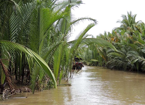 Circuit Mosaïque de cultures - 7
