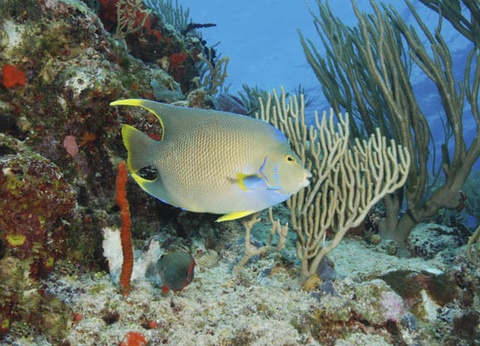 Circuit Secrets Mayas et Club Jumbo Riu Lupita ***** - 8