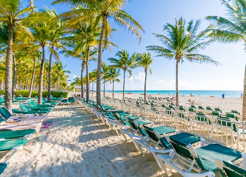 Hôtel Riu Tequila. ***** - 29