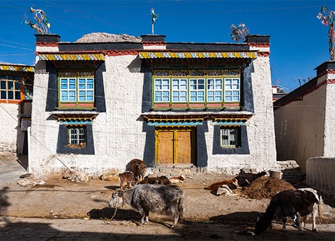 Circuit De Pékin au Tibet et le train du toit du monde - 13