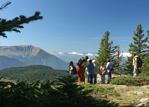 VVF Les Ecrins Saint-Léger-Les-Mélèzes - 15
