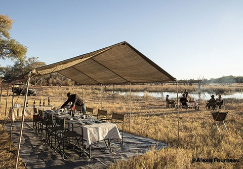 Immersion au Botswana & Extension Chutes Victoria 13J/10N - 2025 - 4